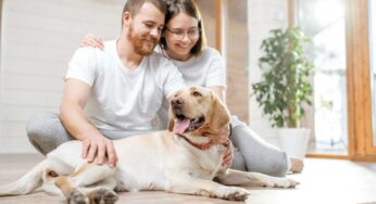 Cani in condominio: non possono vietarti questo, anche se sono tutti d’accordo